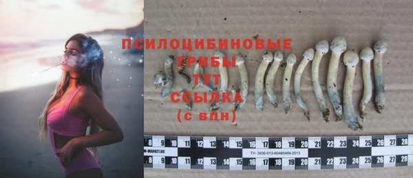 COCAINE Белокуриха
