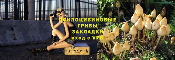 ПСИЛОЦИБИНОВЫЕ ГРИБЫ Белоозёрский