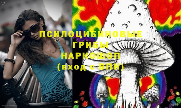 синтетический гашиш Богородицк