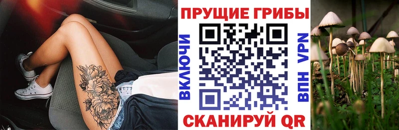 Псилоцибиновые грибы GOLDEN TEACHER  цена наркотик  Валуйки 